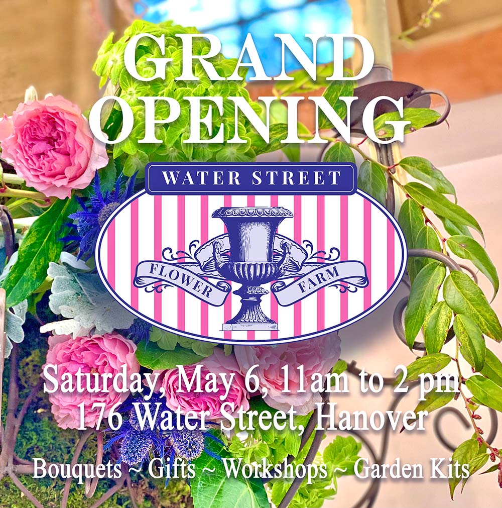 Water Street Flower Farm Opening Graphic